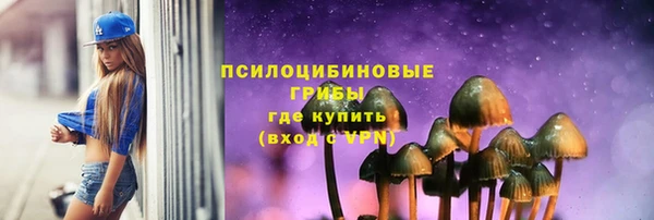 ПСИЛОЦИБИНОВЫЕ ГРИБЫ Гусь-Хрустальный