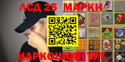 стафф Бийск