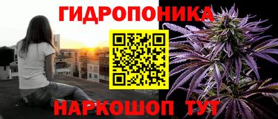 скорость Берёзовский