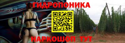 скорость Берёзовский