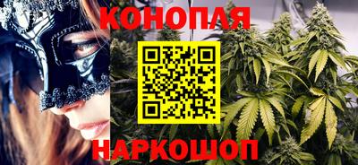 стафф Бийск