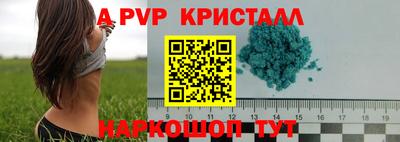 стафф Бийск