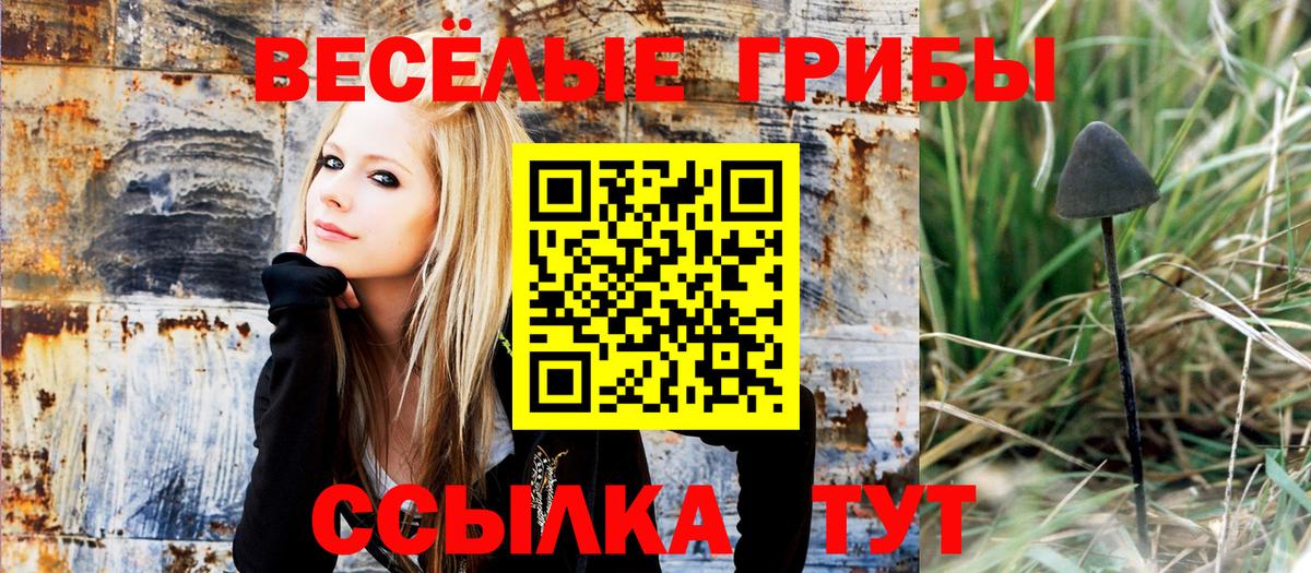 цена наркотик  Псилоцибиновые грибы мицелий  Елабуга  Вход с VPN  Галлюциногенные грибы прущие грибы 