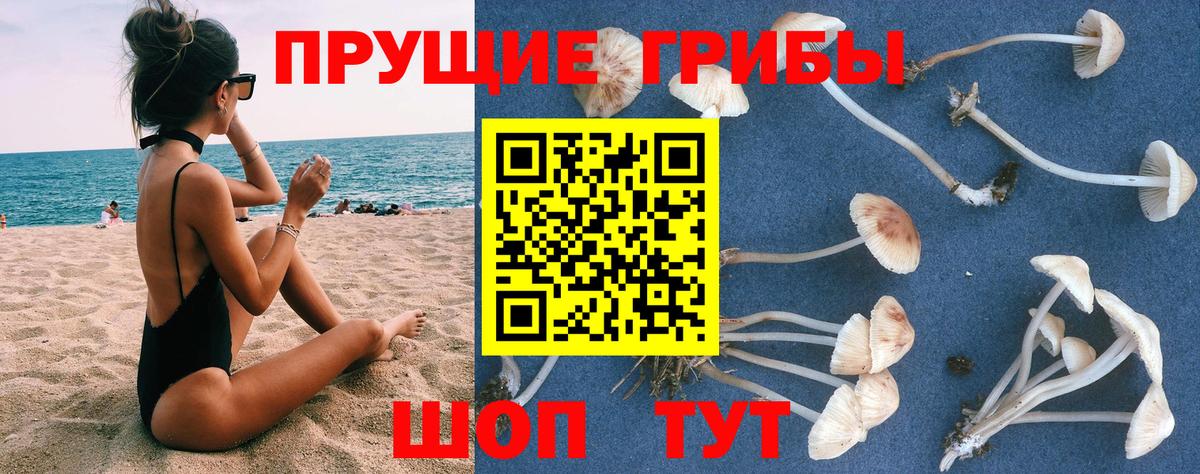 Псилоцибиновые грибы прущие грибы Елабуга