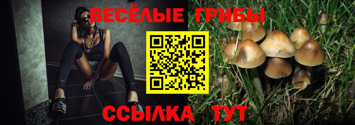 Псилоцибиновые грибы MAGIC MUSHROOMS Елабуга