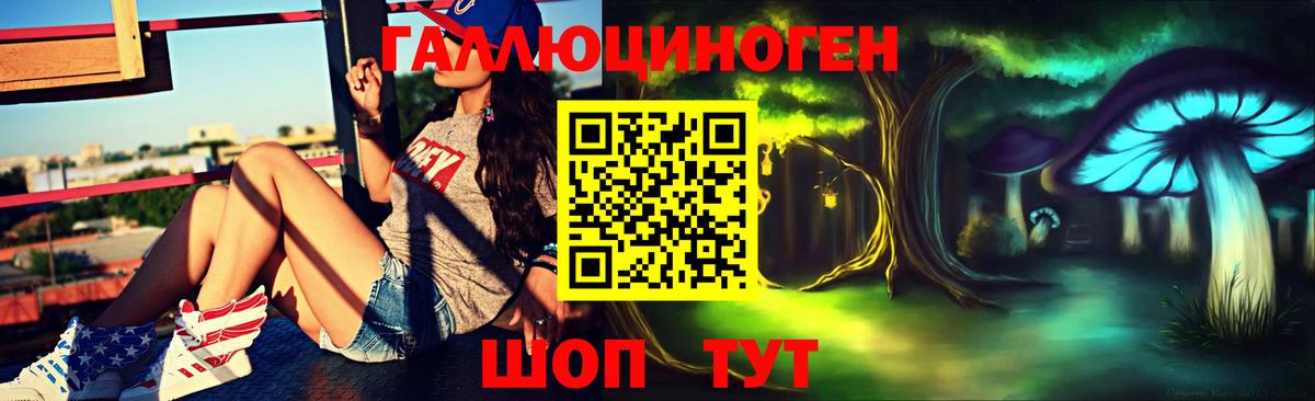 Псилоцибиновые грибы прущие грибы  Елабуга 